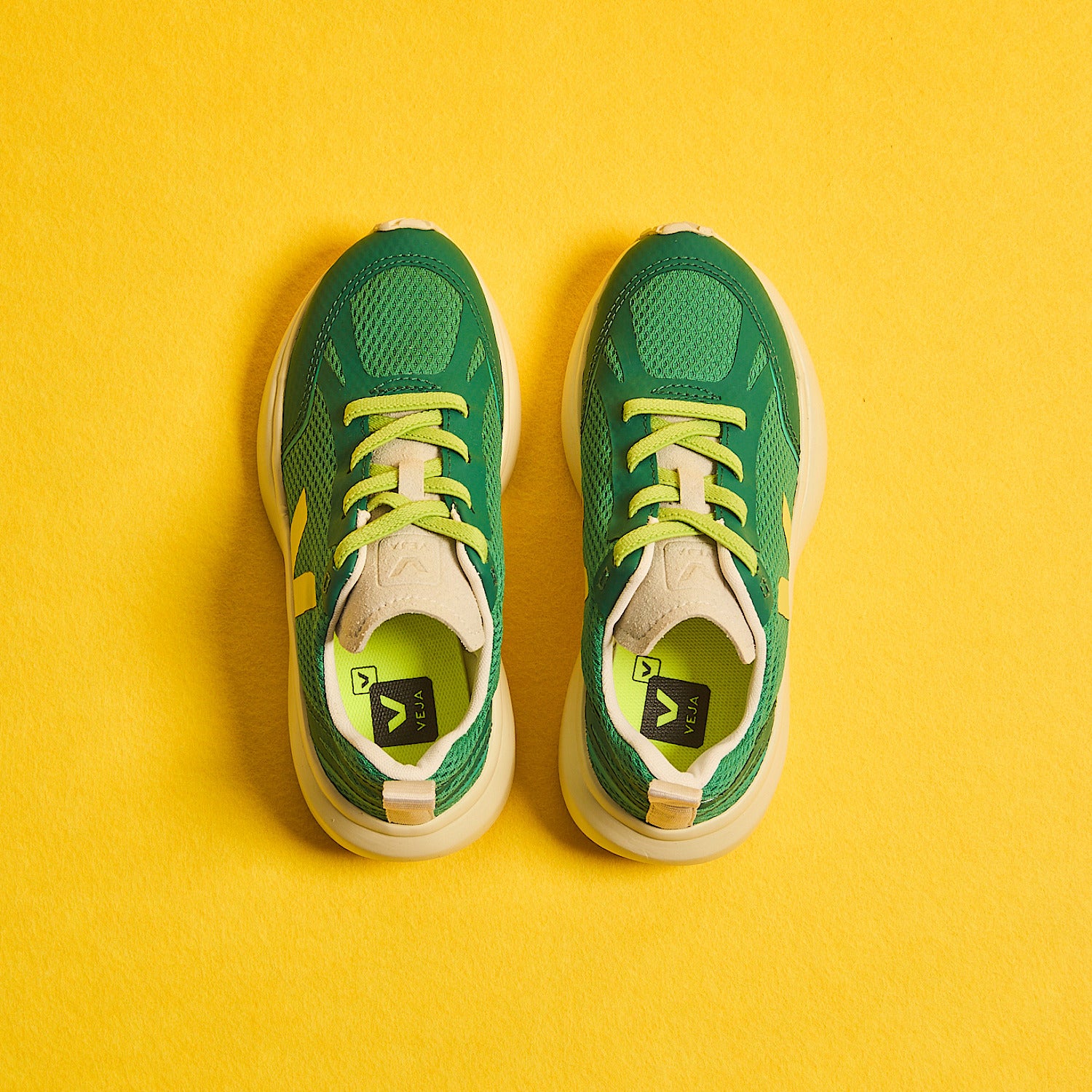 CANARY ELASTIC LACES ALVEOMESH EMERAUDE MIMOSA | VEJA ONLINE